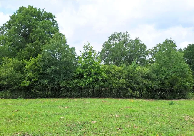Photo 3 of Land for sale at 18155 Wellmann Rd, Washington, TX 77880 | MLS# 3950999 | Listing updated on 2026-07-28