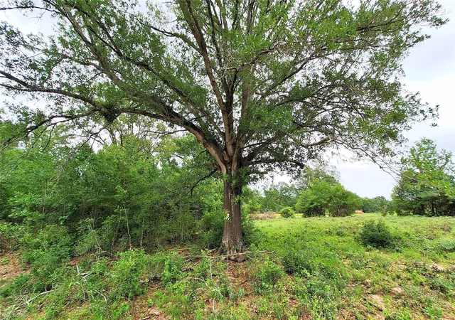 Photo 4 of Land for sale at 18155 Wellmann Rd, Washington, TX 77880 | MLS# 3950999 | Listing updated on 2026-07-28