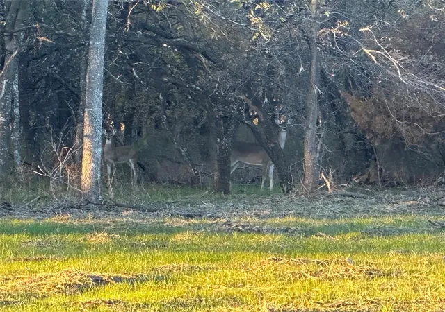 Photo 3 of Land for sale at Lot 9 Grison Cir, Corsicana, TX 75109 | MLS# 82895300 | Listing updated on 2025-12-17