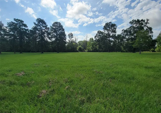 4th image of 1333 S Fm 1988, Livingston, TX 77351 | MLS# 94033361