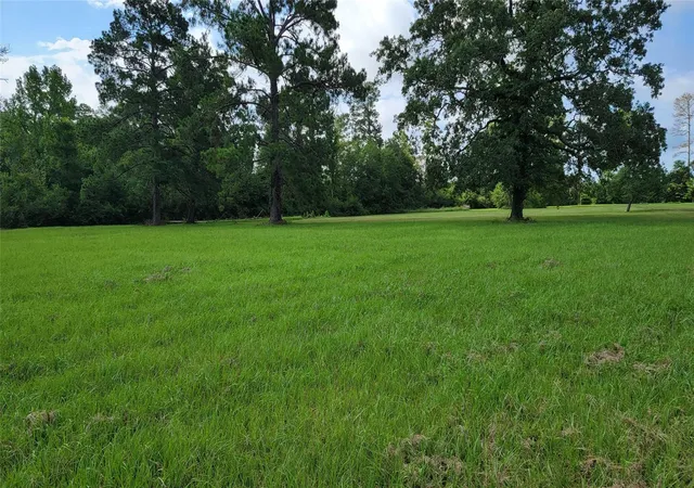 5th image of 1333 S Fm 1988, Livingston, TX 77351 | MLS# 94033361