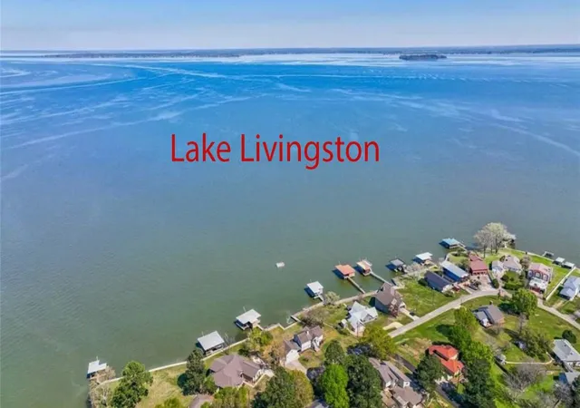 8th image of 1333 S Fm 1988, Livingston, TX 77351 | MLS# 94033361