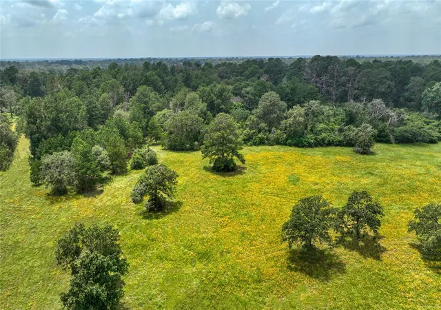 Land for sale at 4749 Hwy 36 N, Bellville, TX 77418 | MLS# 13199757