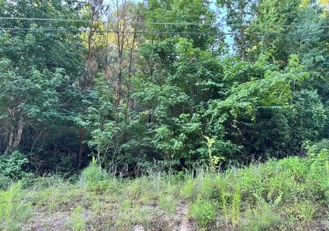 Homes for sale in Trinity, TX | Tbd16 White Rock Acres Rd, Trinity, TX 75862 | MLS# 28043431