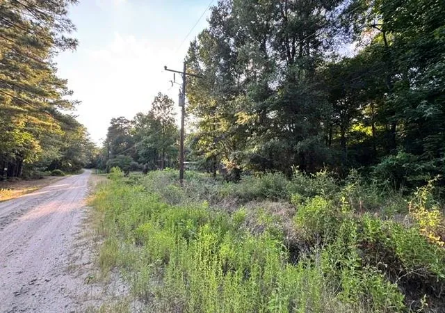 Homes for sale in Trinity, TX | Tbd16 White Rock Acres Rd, Trinity, TX 75862 | MLS# 28043431