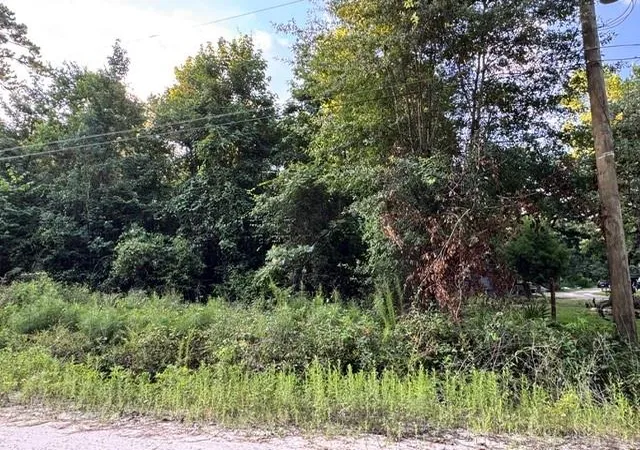 Homes for sale in Trinity, TX | Tbd16 White Rock Acres Rd, Trinity, TX 75862 | MLS# 28043431