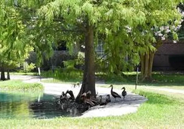 2nd image of 2815 Kings Xing Dr, Kingwood, TX 77345