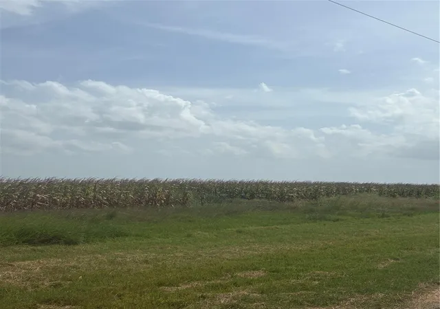 1st image of 000 County Road 3364, Alice, TX 78332 | MLS# 53143322