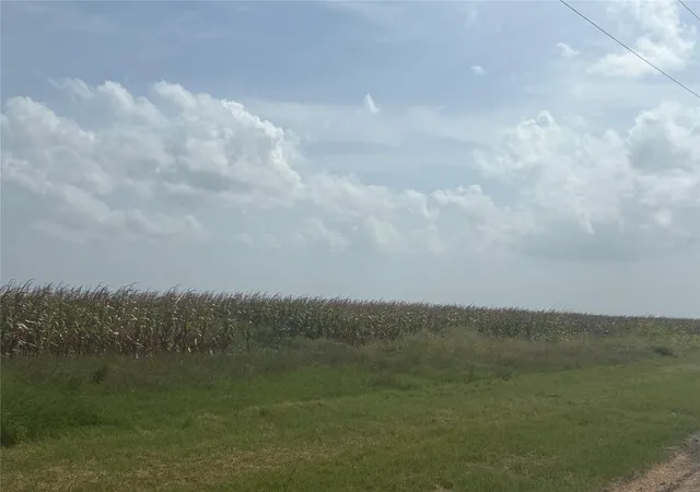 2nd image of 000 County Road 3364, Alice, TX 78332 | MLS# 53143322