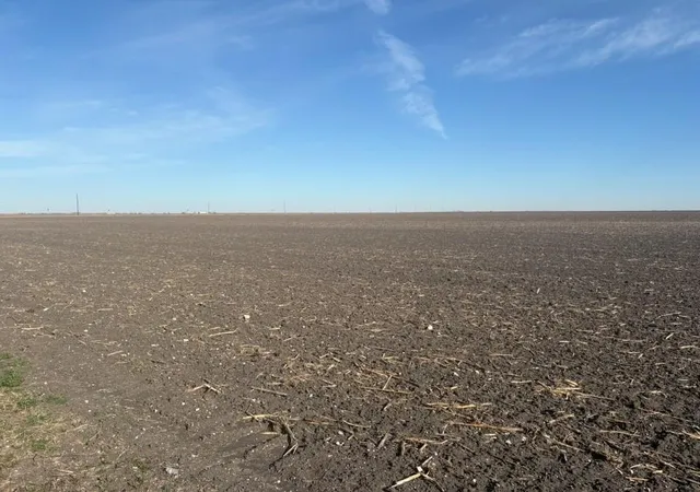 8th image of 000 County Road 3364, Alice, TX 78332 | MLS# 53143322