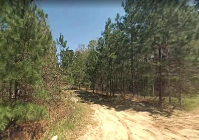 Photo 3 of Land for sale at 0 4th Street, Livingston, TX 77351 | MLS# 54961894 | Listing updated on 2026-09-15