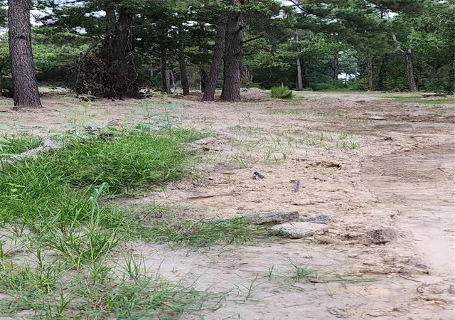 Photo 3 of Land for sale at Tbd W /0 Hardy Rd, Houston, TX 77073 | MLS# 19348788 | Listing updated on 2026-06-18