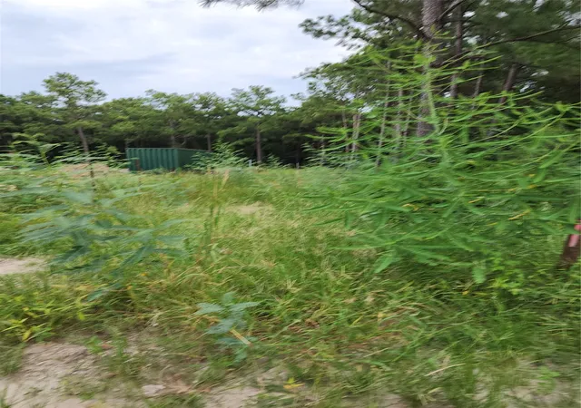 Photo 4 of Land for sale at Tbd W /0 Hardy Rd, Houston, TX 77073 | MLS# 19348788 | Listing updated on 2026-06-18