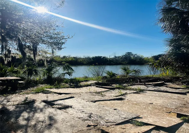 3rd image of 0 County Road 461A, Brazoria, TX 77422 | MLS# 20644881