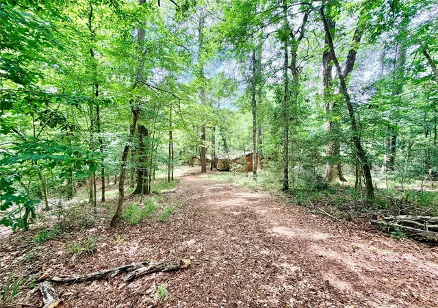 1st image of Tbd Fm 256 E, Woodville, TX 75979 | MLS# 12600419