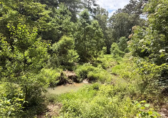3rd image of Tbd Fm 256 E, Woodville, TX 75979 | MLS# 12600419