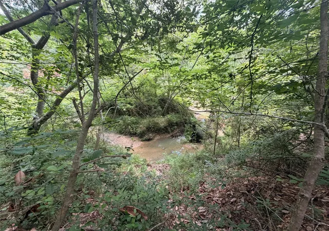 4th image of Tbd Fm 256 E, Woodville, TX 75979 | MLS# 12600419