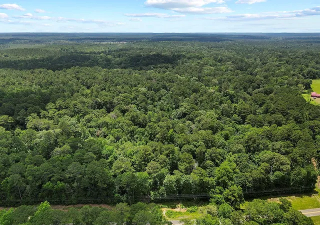 50th image of Tbd Fm 256 E, Woodville, TX 75979 | MLS# 12600419