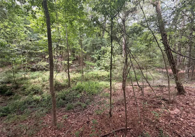 5th image of Tbd Fm 256 E, Woodville, TX 75979 | MLS# 12600419