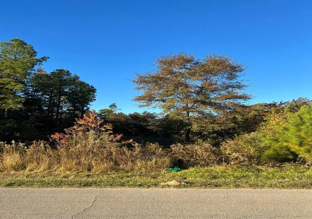 Photo 2 of Land for sale at 145 County Road 3479a, Cleveland, TX 77327 | MLS# 1019449 | Listing updated on 2025-11-17