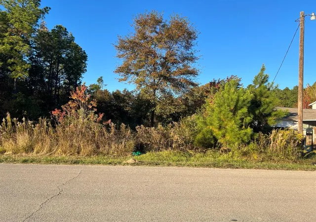 Photo 3 of Land for sale at 145 County Road 3479a, Cleveland, TX 77327 | MLS# 1019449 | Listing updated on 2025-11-17