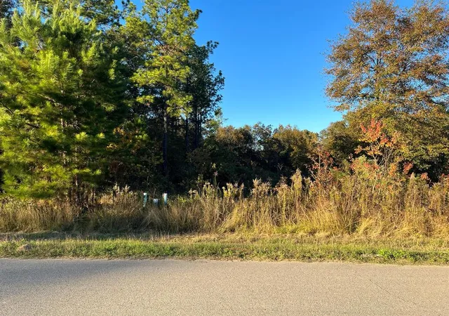 Photo 3 of Land for sale at 145 County Road 3479A, Cleveland, TX 77327 | MLS# 1019449 | Listing updated on 2025-11-17