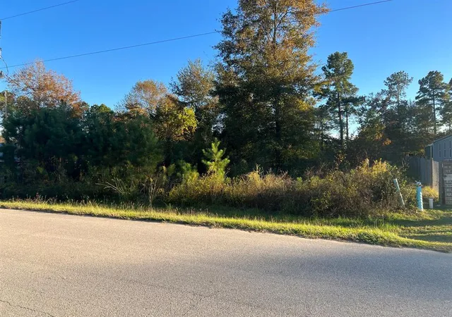 Photo 4 of Land for sale at 145 County Road 3479A, Cleveland, TX 77327 | MLS# 1019449 | Listing updated on 2025-11-17