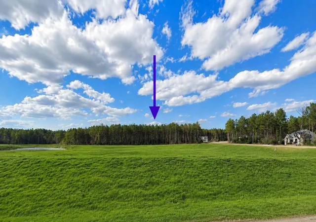 Photo 3 of Land for sale at 15525 Forest Grv Dr, Willis, TX 77378 | MLS# 22960920 | Listing updated on 2026-07-26