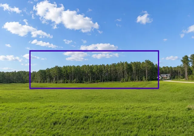 Photo 4 of Land for sale at 15525 Forest Grv Dr, Willis, TX 77378 | MLS# 22960920 | Listing updated on 2026-07-26