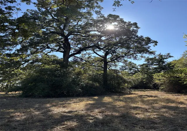Photo 1 of Land for sale at Tbd Cr 163, Caldwell, TX 77836 | MLS# 27039691 | Listing updated on 2025-11-23