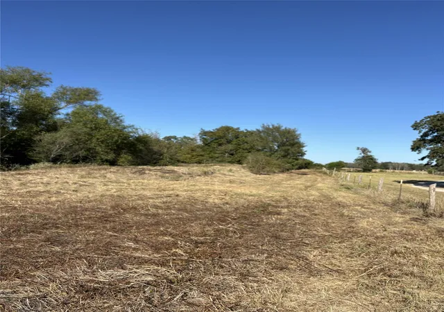 Photo 3 of Land for sale at Tbd Cr 163, Caldwell, TX 77836 | MLS# 27039691 | Listing updated on 2025-11-23