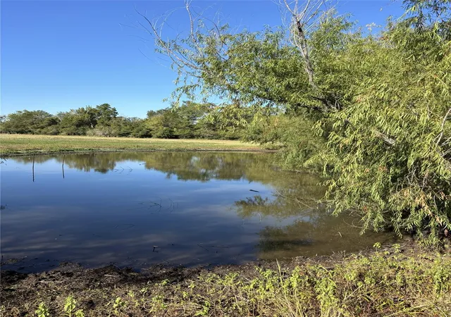 Photo 3 of Land for sale at Tbd Cr 163, Caldwell, TX 77836 | MLS# 27039691 | Listing updated on 2025-11-23