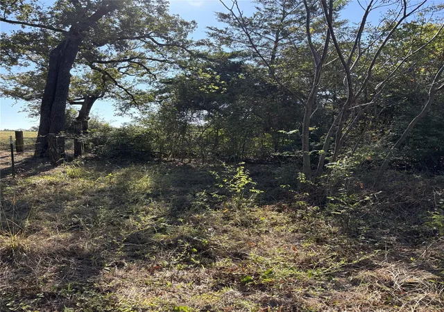 Photo 4 of Land for sale at Tbd Cr 163, Caldwell, TX 77836 | MLS# 27039691 | Listing updated on 2025-11-23