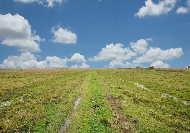 2nd image of 1 Brumbelow Rd, Needville, TX 77461 | MLS# 29450414