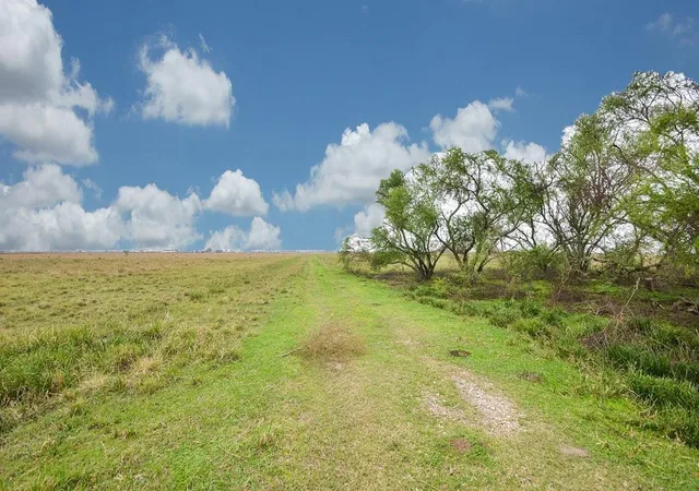 3rd image of 1 Brumbelow Rd, Needville, TX 77461 | MLS# 29450414