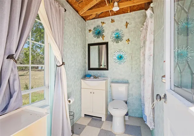 49th image of 825 County Road 119, Hallettsville, TX 77964 | MLS# 64548535