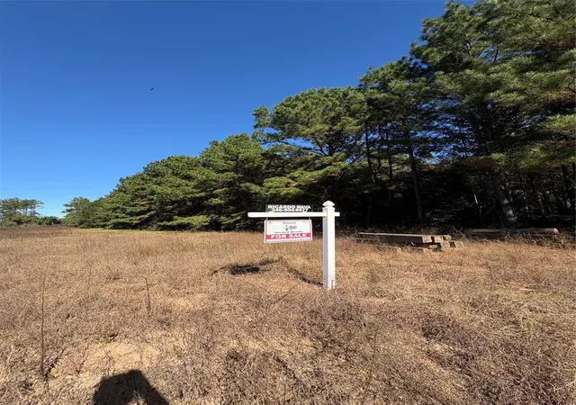 1st image of 0 County Road 113, Jasper, TX 75951 | MLS# 10658473