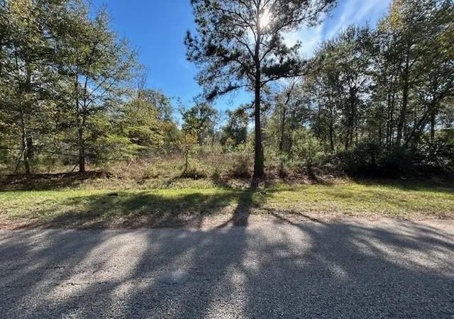 Photo 2 of Land for sale at 1964 County Rd 3434, Cleveland, TX 77327 | MLS# 76167786 | Listing updated on 2026-10-03