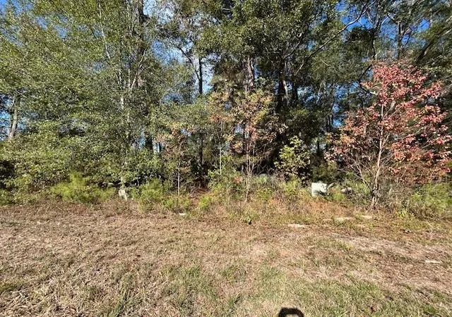 Photo 3 of Land for sale at 1964 County Rd 3434, Cleveland, TX 77327 | MLS# 76167786 | Listing updated on 2026-10-03