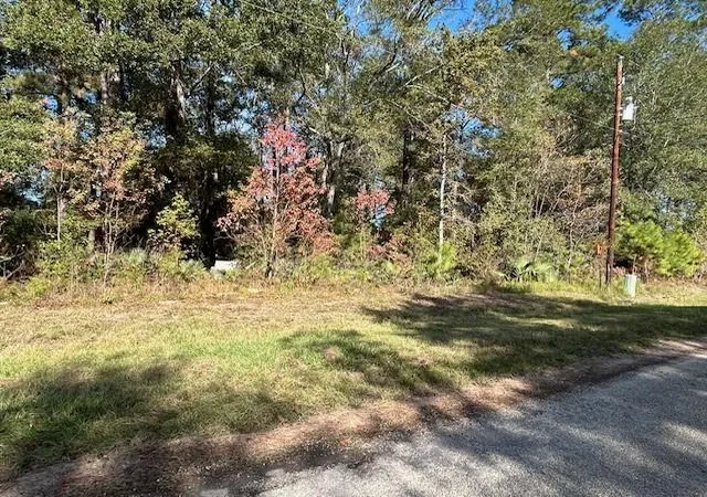 Photo 4 of Land for sale at 1964 County Rd 3434, Cleveland, TX 77327 | MLS# 76167786 | Listing updated on 2026-10-03