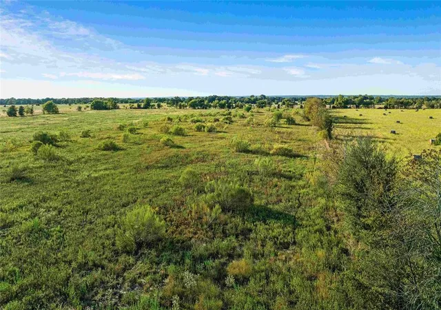 3rd image of Tbd County Road 216, Caldwell, TX 77836 | MLS# 3551648