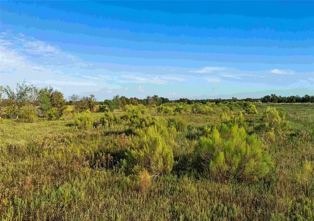 5th image of Tbd County Road 216, Caldwell, TX 77836 | MLS# 3551648