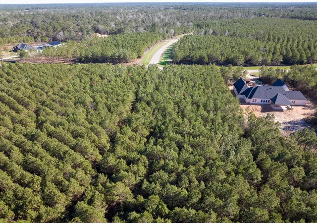 2nd image of 15715 Ridge Rock Road, Willis, TX 77378 | MLS# 25622983