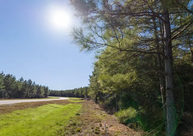 Photo 3 of Land for sale at 15715 Ridge Rock Rd, Willis, TX 77378 | MLS# 25622983 | Listing updated on 2026-01-27