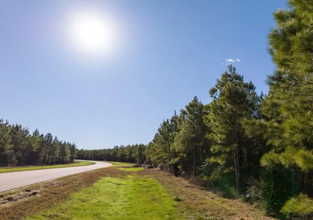 Photo 4 of Land for sale at 15715 Ridge Rock Rd, Willis, TX 77378 | MLS# 25622983 | Listing updated on 2026-01-27