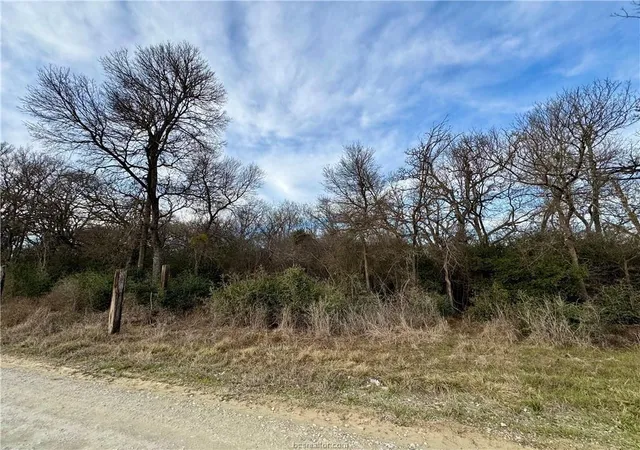 Homes for sale in Hearne, TX | 10075 River Ridge Dr, Hearne, TX 77859 | MLS# 10849981