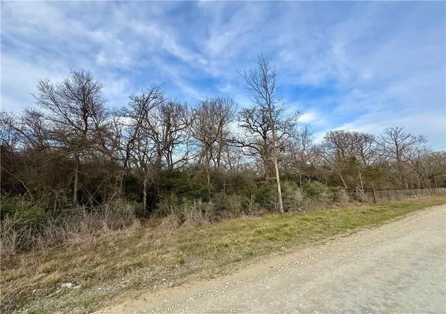 Homes for sale in Hearne, TX | 10075 River Ridge Dr, Hearne, TX 77859 | MLS# 10849981