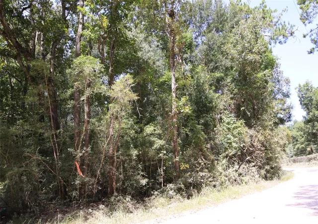 Photo 3 of Land for sale at Tbd Garcia Road, Batson, TX 77519 | MLS# 81763097 | Listing updated on 2026-08-23