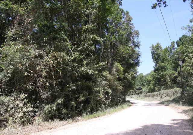 Photo 3 of Land for sale at Tbd Garcia Road, Batson, TX 77519 | MLS# 81763097 | Listing updated on 2026-08-23