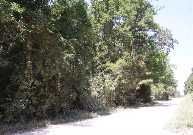 Photo 4 of Land for sale at Tbd Garcia Road, Batson, TX 77519 | MLS# 81763097 | Listing updated on 2026-08-23